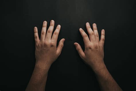 Human Hands · Free Stock Photo