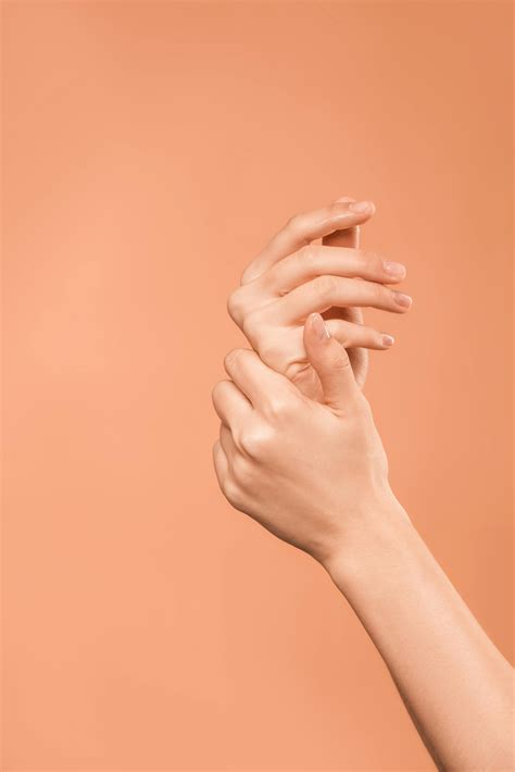 Person's Hands · Free Stock Photo