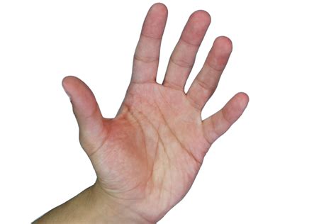 Male Hand On Isolated Background Free Stock Photo - Public Domain Pictures