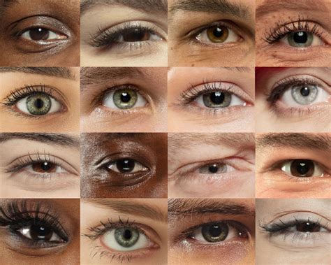 Eye Shapes | Optical Center | SmartBuyGlasses US