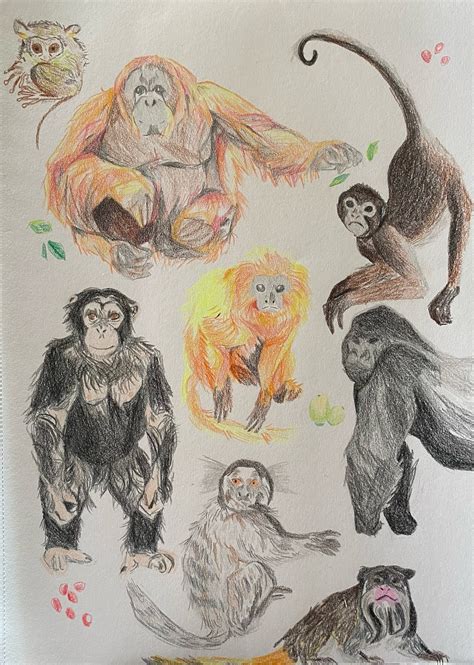 @professional-primate on Tumblr