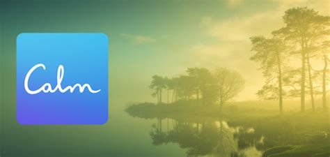 Calm - applicazione perfetta per meditare, dormire e rilassarsi - XANTARMOB