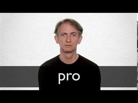 What Pro Artist Portfolio features best showcase my artistry with defined elegance for galleries?