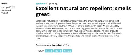 Product Review Examples &amp; What Makes Them Good | Inflow