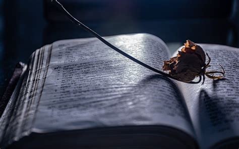 What visual storytelling techniques define an ‘Artistry Enhanced’ beauty blog for maximum impact?