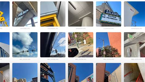 A Step-by-Step Guide to Crafting a Cohesive Photography Portfolio ...