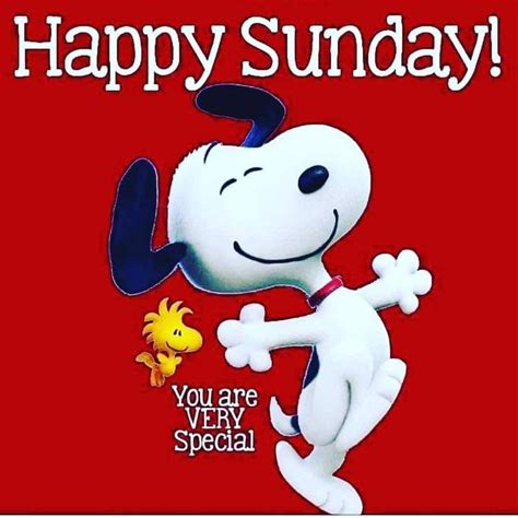 Pin by zografia on Καλημέρες & Καληνύχτες | Happy sunday, Snoopy funny ...