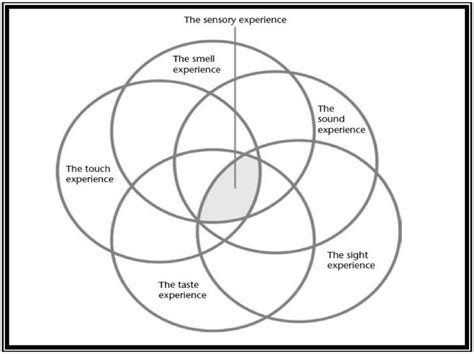 The Sensory Experience | Download Scientific Diagram
