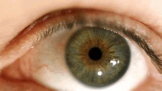 How do Pro Artist Portfolio users select work to best define elegance & enhance artistry?