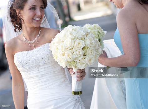 Smiling Bride Stock Photo - Download Image Now - Adult, Adults Only ...