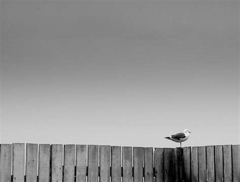 40 Minimalist Photography Examples For Your Inspiration - The Photo Argus