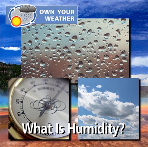 The Definition Of Humidity And Its Impact on Weather