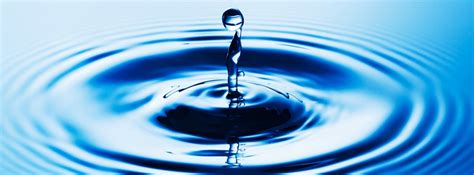 10 things Highly Impactful People can teach us – Rosalie Puiman | Life ...