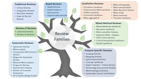 literature reviews types