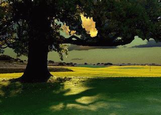 How do pro artists curate & present work for Artistry Enhanced portfolios?