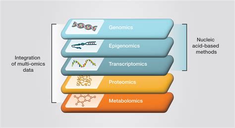 Supporting Multi-omics Approaches | Thermo Fisher Scientific - US