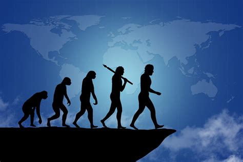 The Evolution of Leadership Skills: Don’t Become Extinct – Chief ...