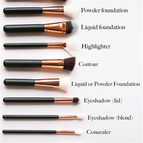 A Beginner’s Guide To Every Makeup Brush & What It’s Used For - SHEfinds