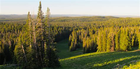 Should We Try to Keep Nature Natural? | Ensia