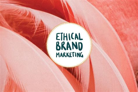 Ethical Brand Marketing Brand Identity | Creative Wilderness