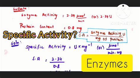 What specific workshop techniques elevate your elegance and personal artistry?