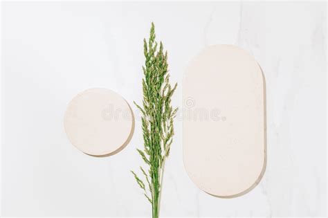 Flat Lay Cosmetics Skin Care Product Presentation Scene Stock Photo ...