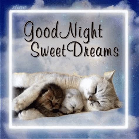 Good Night Sweet Dreams Sleeping Kittens GIF - UINona GIFs