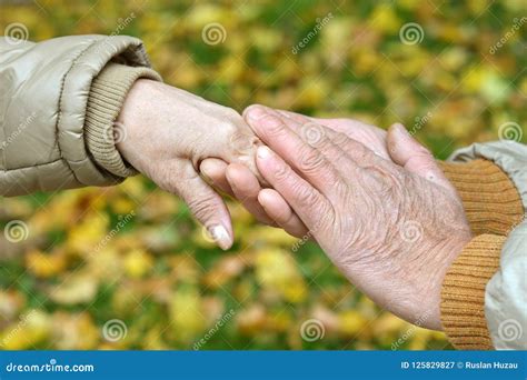 Elderly Couple Holding Hands in Beautiful Park Stock Image - Image of ...