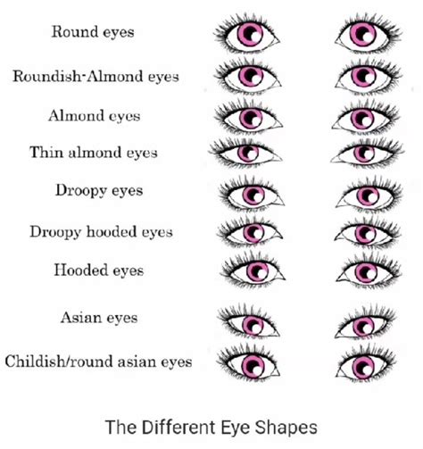 Different Types Of Eye Shapes