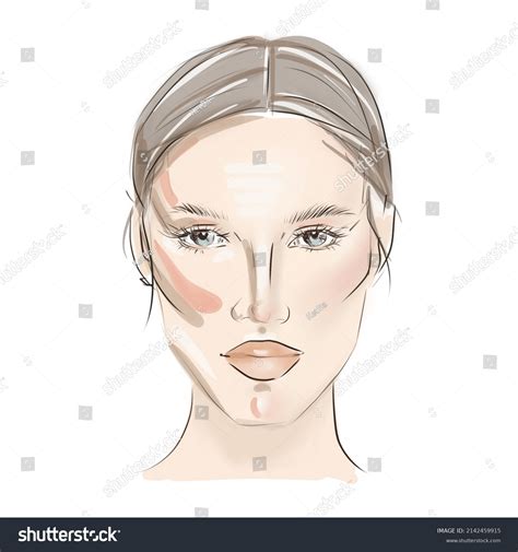 Face Shape Contour Guide Contour Face Stock Illustration 2142459915 ...