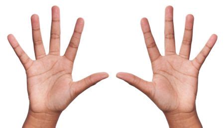 Incredible human hand