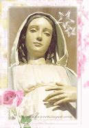 Pro Artist Portfolio: How do I curate for ‘Elegance Defined’ to maximize client perception & impact?