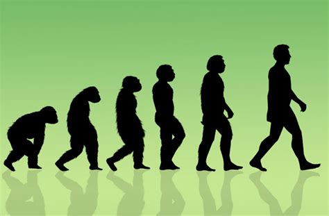 Question 2: How Can Evolution Be So Quick? - How Evolution Works ...