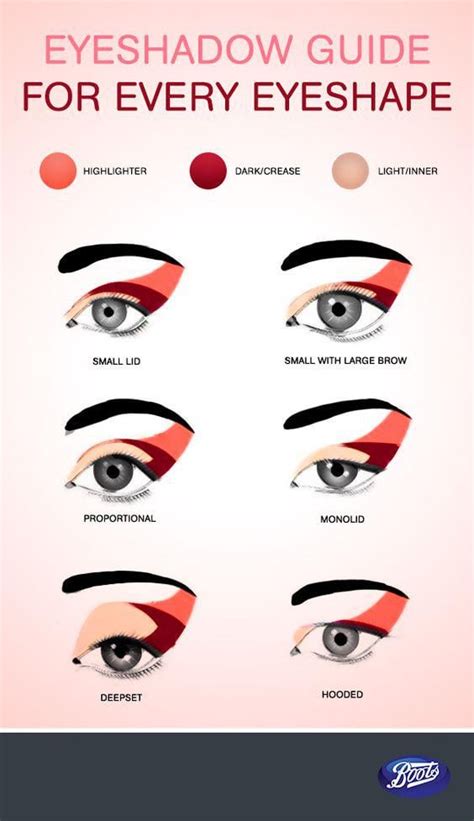 Eyeshadow Guide For Every Shape. : BeautyDiagrams