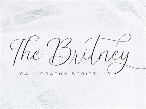 Elegant Fonts