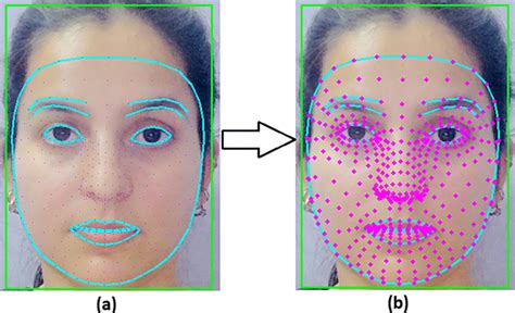 Facial features with key points | Download Scientific Diagram