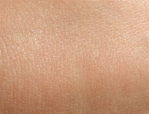 What skin prep ensures truly lasting, elegant bridal makeup artistry?