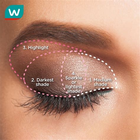 Blending Eyeshadow For Beginners