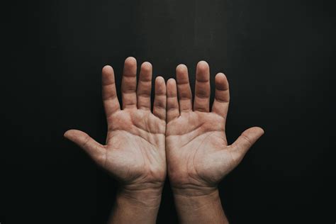 Hands Photos, Download The BEST Free Hands Stock Photos &amp; HD Images