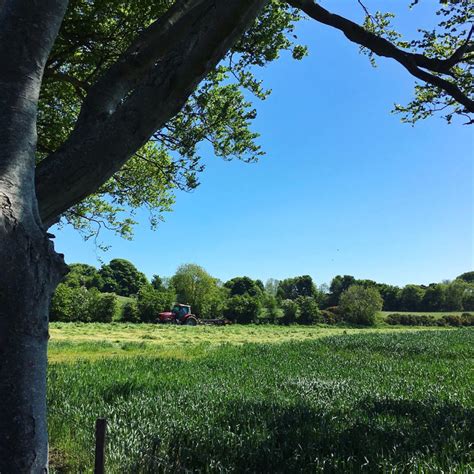 7 Tips For Using Framing Composition Techniques In Your iPhone Photos