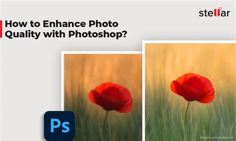 How to enhance portfolio elegance by curating your finest art?