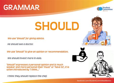 How should Pro Artist Portfolios curate works for enhanced artistry & defined elegance?