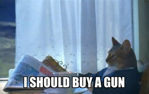 Gun Cat Memes Pin On Funny