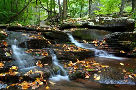 Natural Seasons | Natural Feelings | Natural Effects | Natural Lives