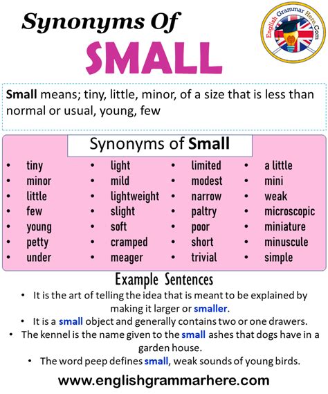 Synonyms Of Small, Small Synonyms Words List, Meaning and Example ...