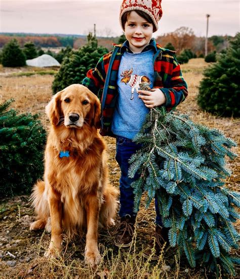 What visual storytelling techniques enhance elegant beauty tutorials for deeper engagement?