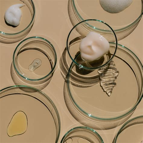 The Evolution of Beauty: Exploring Emerging Skincare Trends – YUNI Beauty