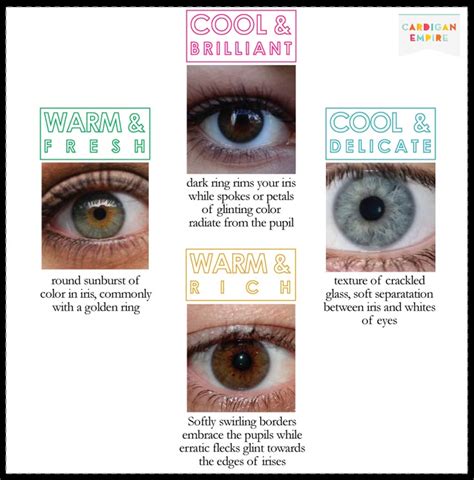 17 Best images about Beauty color wheel on Pinterest | Cool summer ...