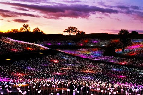 10 best immersive art experiences in the US for a sensory adventure