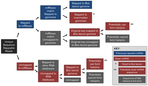 Work-flow of sequencing data analysis. | Download Scientific Diagram